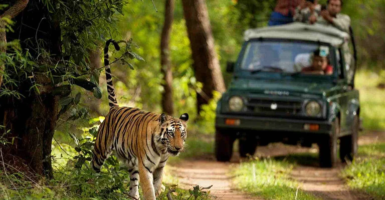 Jim Corbett